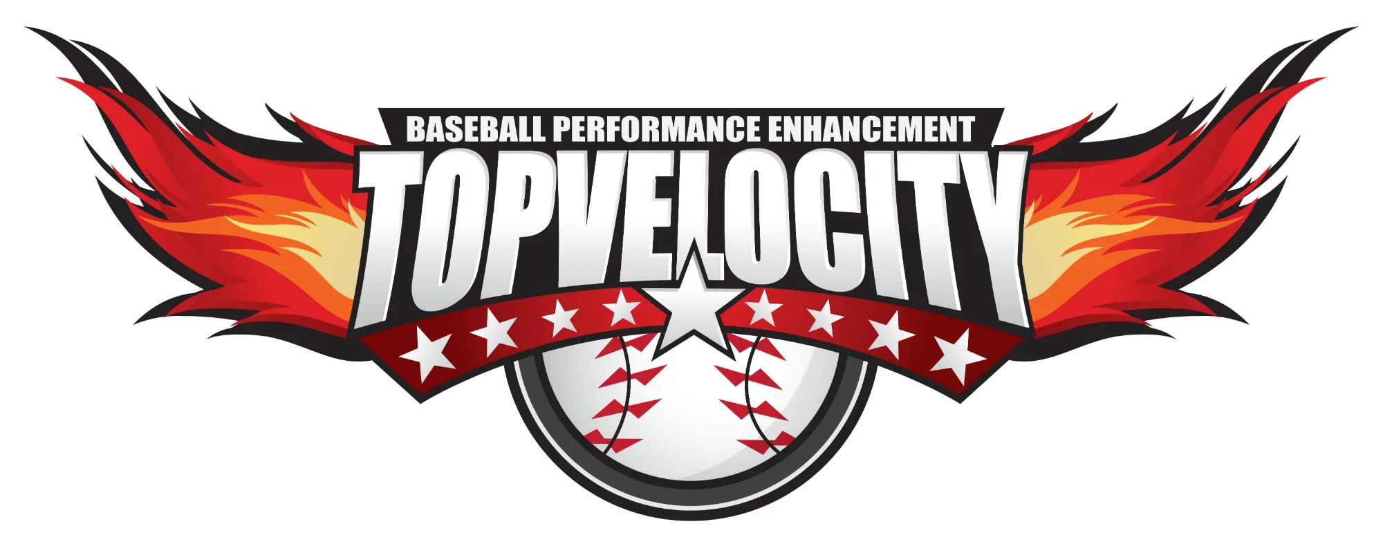 TopVelocity VIP